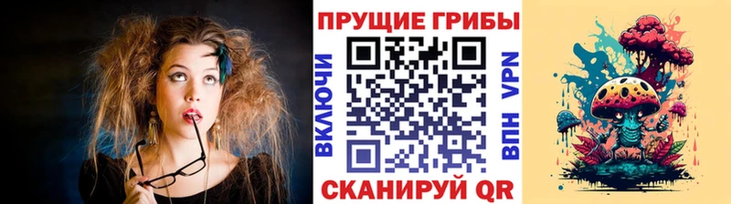 Галлюциногенные грибы мицелий  Купить  Новосокольники 